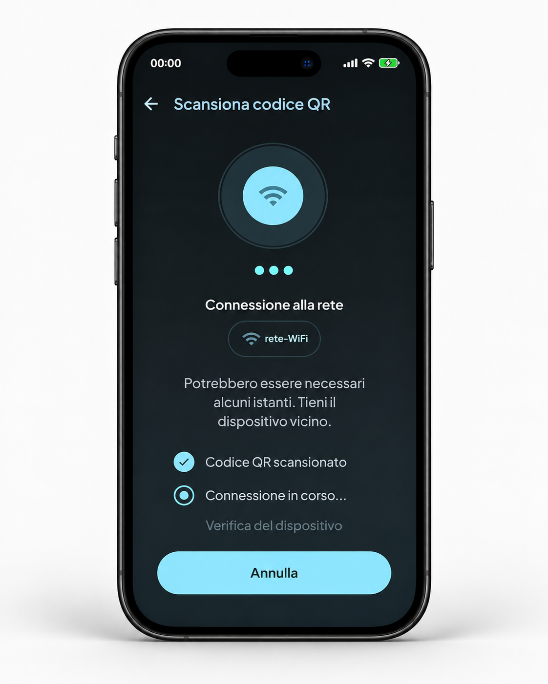 Connessione alla rete